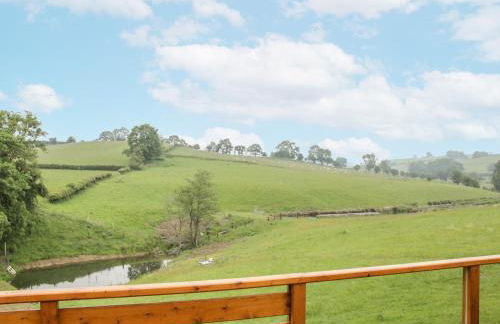 Manor Farm Lodges - Dragon Lodge - Foto 19