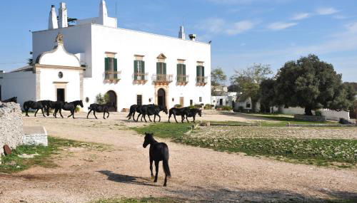 Masseria Tagliente - Foto 1