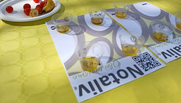 Olive Oil Tasting - Foto 2