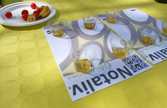 Olive Oil Tasting - Foto 2