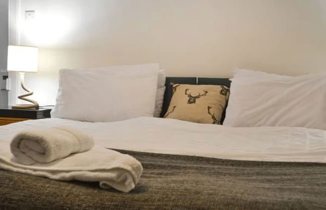 Wilsons Golspie in Golspie - Photo 12