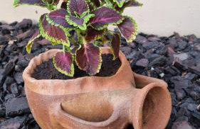 Cypress Garden House - Foto 24