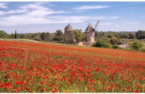 Studiowillangel - Foto 12