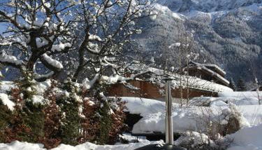 Chalet Plan Glacier - Foto 1