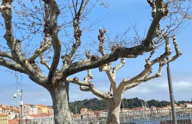 Castellane : T2 spacieux - Vue Port - WIFI - Foto 73