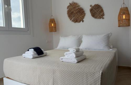 Eolia luxury houses Andros - Photo 17