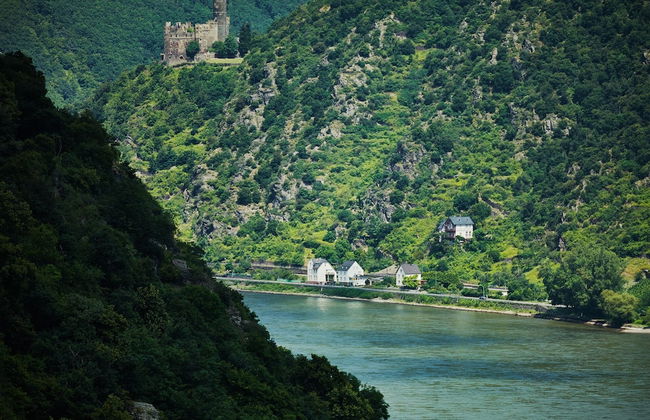 PARK VILLA zentral am Mittelrhein - Foto 78