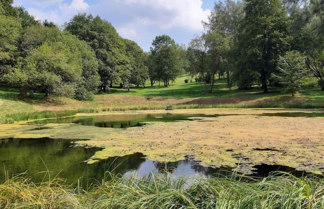 Fingerhut Comfortable Holiday Residence - Foto 13