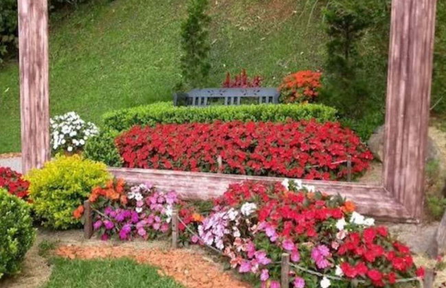Campos do Jordão Panoramic Tour + Amantikir Park - Foto 10
