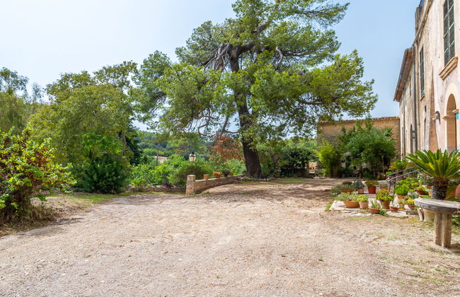 Sa Bisbal - Photo 31