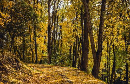 La Pause du Perche - gîte au pied de la forêt - Foto 23