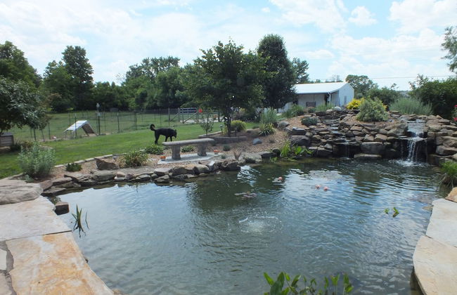 Montrose Farms Alpaca Ranch - Foto 22