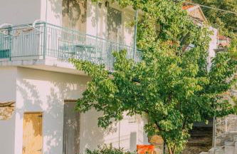 The apricot tree studio - Foto 24