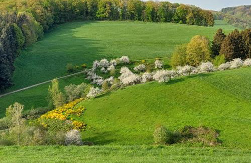 Fachwerkhaus mitten in der Natur - Foto 20