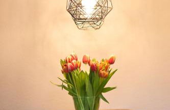 Ferienwohnung am Schwimmbachtal - Foto 6