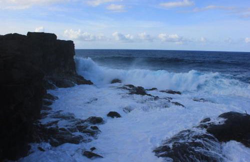 Adega Do Mirante - Photo 49