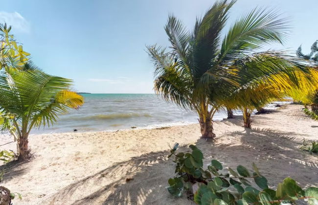 Alterhome Turtle Studio - Foto 19