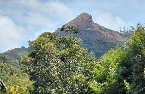 Estúdio Raiz da Mata - Foto 12