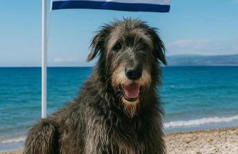 ALF Apartments & Lofts - Foto 2