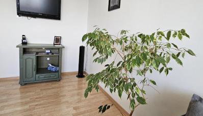 Apartament WELES - Foto 5