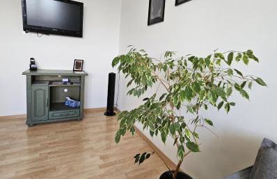 Apartament WELES - Foto 5