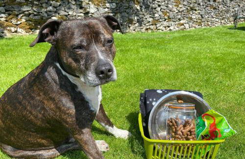 Swallow Barn - Photo 9