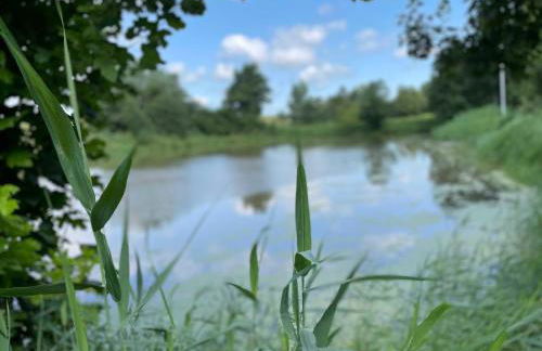 Ferienwohnung an der Ems 75100 - Foto 16