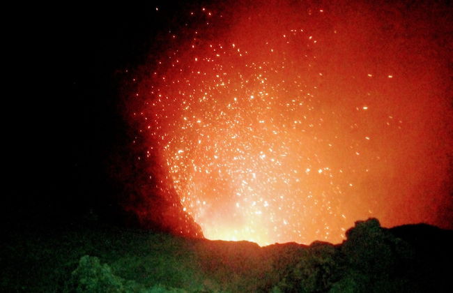 Glowing Mountain view tree house - Foto 30