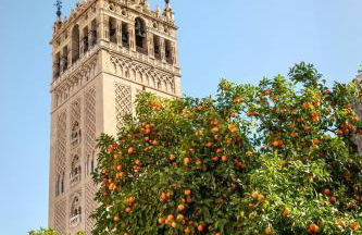 Apto T Marqués del Nervión - Garaje Privado con carga eléctrica - Foto 36