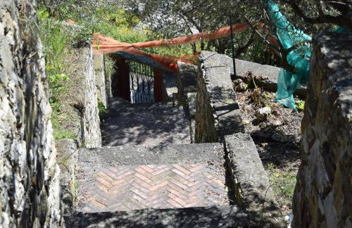 Corner of Paradise near Cinque Terre - Foto 59