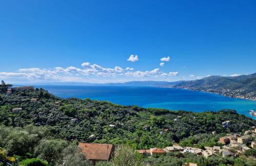 Un Giardino Su Camogli by Holiday World - Foto 29