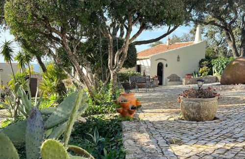 Monte Borboleta - Villas, Apartments - Foto 63