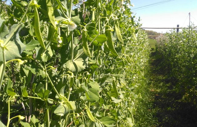 Casa Rural Aristondo - Photo 31