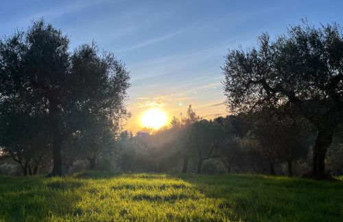 Casa Oliva Casperia, house & private olive grove - Foto 6