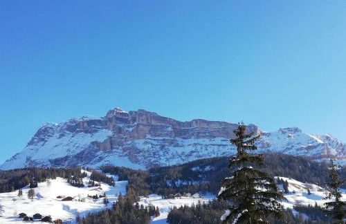 Aria d'Bosch - Foto 15