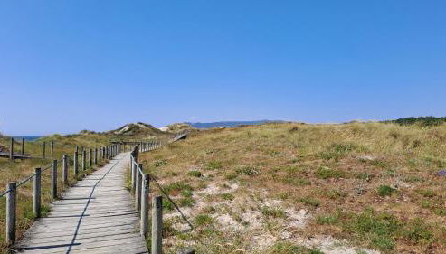 Terra e Mar - Foto 4