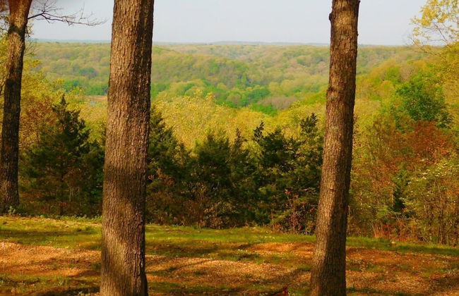 Rock Eddy Bluff Farm - Photo 45