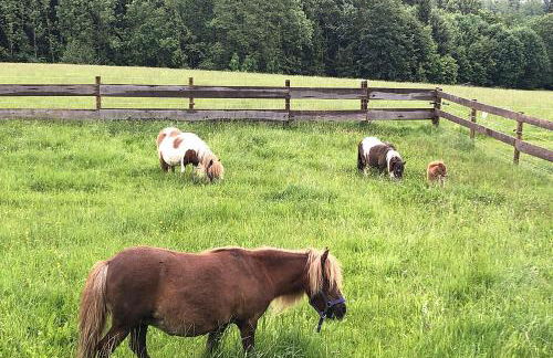 Bauniglerhof - Foto 4