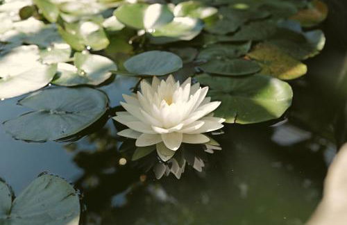 Römerklause - Foto 11