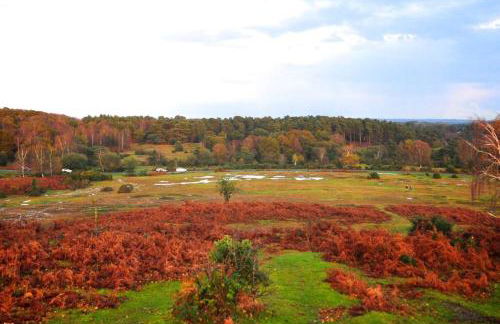 Luxury house in The New Forest - Foto 36