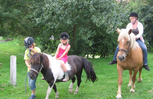 Dorotheenhof - Foto 16