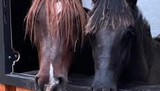 Haus am Teich - Foto 3