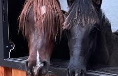 Haus am Teich - Foto 3