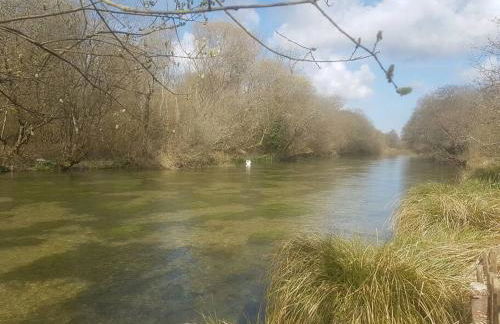 Delightful 3bed thatched Cottage - Foto 14