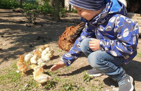 Lana Salta Alpakas - Gemütliche Gästezimmer auf dem Bauernhof - Foto 25