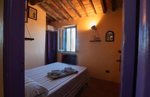 NIDO SCANSANESE - Photo 4