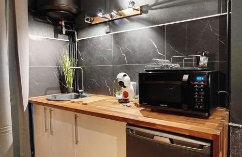 Nancy Vieille ville Stanislas - Foto 77