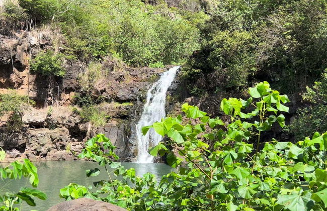 Randonnée à la cascade de Waimea - Photo 1