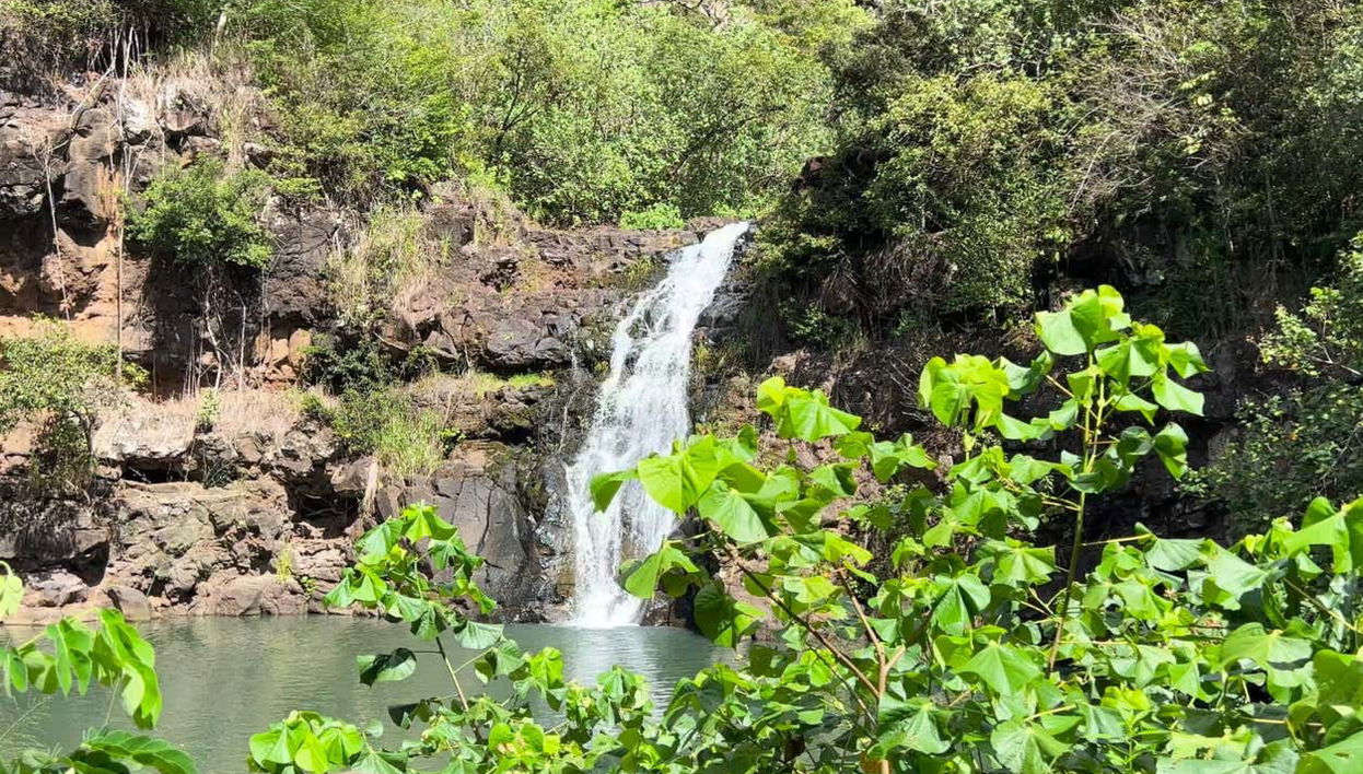 The stunning Waimea Waterfall