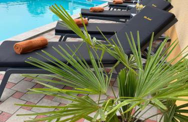 VILA LASOVIC + POOL + JACUZZI + SAUNA - Foto 39